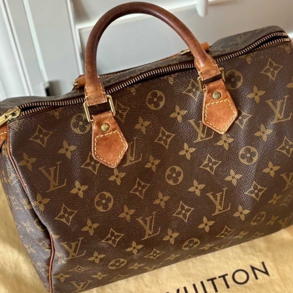 Louis Vuitton speedy bag with duster